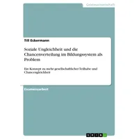 GRIN Verlag Soziale Ungleichheit und die Chancenverteilung im Bildungssystem