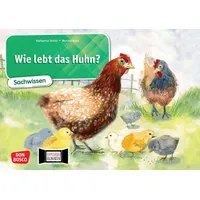 Don Bosco Wie lebt das Huhn? Kamishibai Bildkartenset.