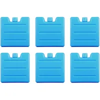 VonBueren 6 x Mini Kühlakkus für Kühltasche und Kühlbox