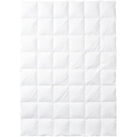 Kauffmann Weidegans Daunendecke 200x200 cm