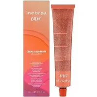 Inebrya Color 6/1 dunkelblond asch 100 ml