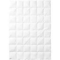 Kauffmann Bavaria 240x220 cm