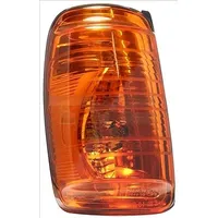 TYC Blinkleuchte 310-0217-3