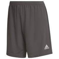 Adidas Entrada 22 Shorts team grey four (AE2C) 2XS