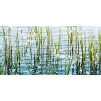Express Küchen Küchenrückwand EXPRESS KÜCHEN "Seegras", bunt, B:120cm H:55,9cm,