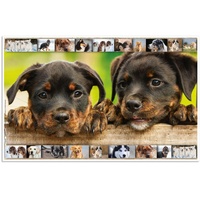 Herma Schreibtischunterlagen Hunde Karton 55,0 x 35,0 cm, 3