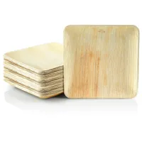 Wisefood 25 Teller - Palmblatt Teller quadratisch 24 x