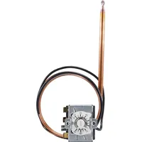 Jumo 60003222 Temperaturwächter