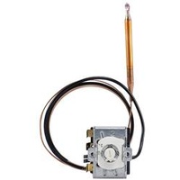 Jumo 60003281 Temperaturwächter
