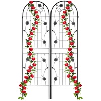 Relaxdays Rankgitter, 2er Set, HxB 180 cm, Metall, Rankhilfe