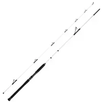 WFT Coastal Jigger 2,75m 40-160g