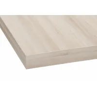 OPTIFIT Arbeitsplatte Mats 100 x 2,8 x 60 cm