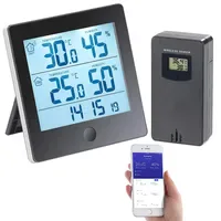 Infactory Thermo-/Hygrometer-Datenlogger Schwarz