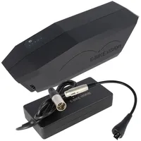 E-Bike Vision Unterrohr Power Pack lite E-Bike Akku inkl.