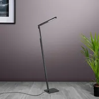 Knapstein CARLA-2, Stehleuchte, LED, 41.989.07,
