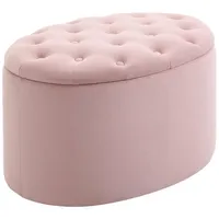 Homcom Sitzbank mit Stauraum Polyester Rosa 71 x 52