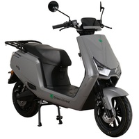 Greenstreet Rio 2000 Watt 45 km/h grau