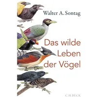 C.H. Beck Verlag Das wilde Leben der Vögel