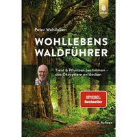 Ulmer Eugen Verlag Wohllebens Waldführer