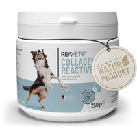 Reavet Collagen Reactive - ReaVET 250 g