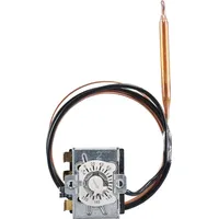 Jumo 60003224 Temperaturwächter