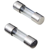 Eska G-Sicherung 5x20 mm M mittelträge (10 STK)