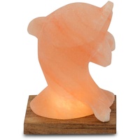 Himalaya Salt Dreams USB »Delfin«, mit Holzsockel, H: ca.