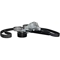 JP Group Keilrippenriemensatz JP