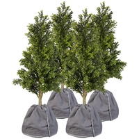 Royal Gardineer 4er-Set Thermo-Topfschutz für Pflanzen, 50x45 cm, Drainage,