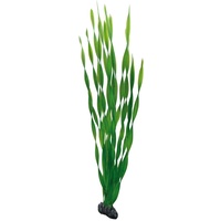 Hobby Vallisneria, 60 cm