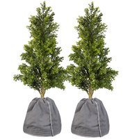Royal Gardineer 2er Set XL-Thermo-Topfschutz für Pflanzen,70x65cm,Drainage,anthrazit