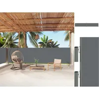VidaXL Seitenmarkise Ausziehbar Anthrazit 160x1000 cm