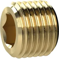 Riegler Verschlussschraube, Innensechskant, ohne Bund, G 1/2, SW 10,