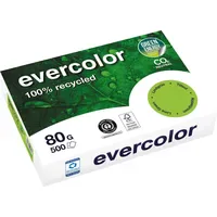 Clairefontaine Evercolor A4 80 g/m2 500 Blatt