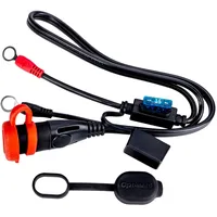 TecMate OPTIMATE Ösenkabel M8,