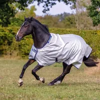 Bucas Power Turnout Light Classic 0g - silver,