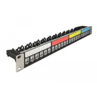DeLock Patchpanel für RJ-45 Keystone Module 19", schwarz, mit