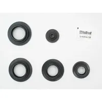 Vaillant Dichtungssatz 0020025149