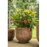 Trendline Pflanztopf Maestro Ø 33 x 30 cm rost