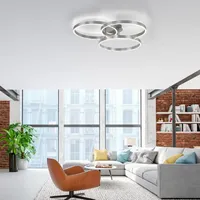 Paul Neuhaus LED-Deckenleuchte Paan Alu, Eisen, Stahl & Metall