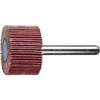 Pferd Keramikkorn Fächerschleifer F Ø 30x20mm Schaft-Ø 6 mm