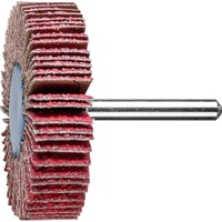 Pferd Keramikkorn Fächerschleifer F Ø 60x15 mm Schaft-Ø 6