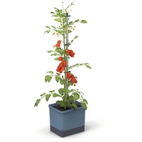 Gusta Garden Anzuchtgefäß Tom Tomato 20 L blau