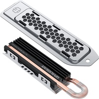 GRAUGEAR G-PS5HS03, Heatpipe-Kühler für PS5 Speichererweiterung, mit Abdeckung (18031)