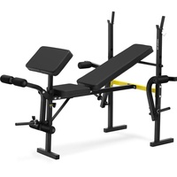 GR Gymrex Gymrex GR-TB 51 Multifunktionshantelbank bis 100 kg
