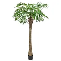 Europalms Phönixpalme luxor, 300cm