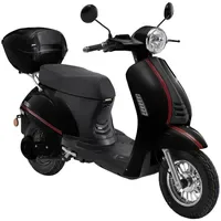 LUXXON E3000 3000 Watt 45 km/h schwarz