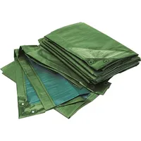 Bio Green RAINEXO Abdeckplane, 150g/qm, 8x12m, gr/bl