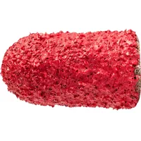 Pferd POLICAP Schleifkappe PC Walzenrundform Keramikkorn Ø 5x11 mm