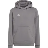 Adidas Entrada 22 Sweat Hoodie Team Grey Four, 116